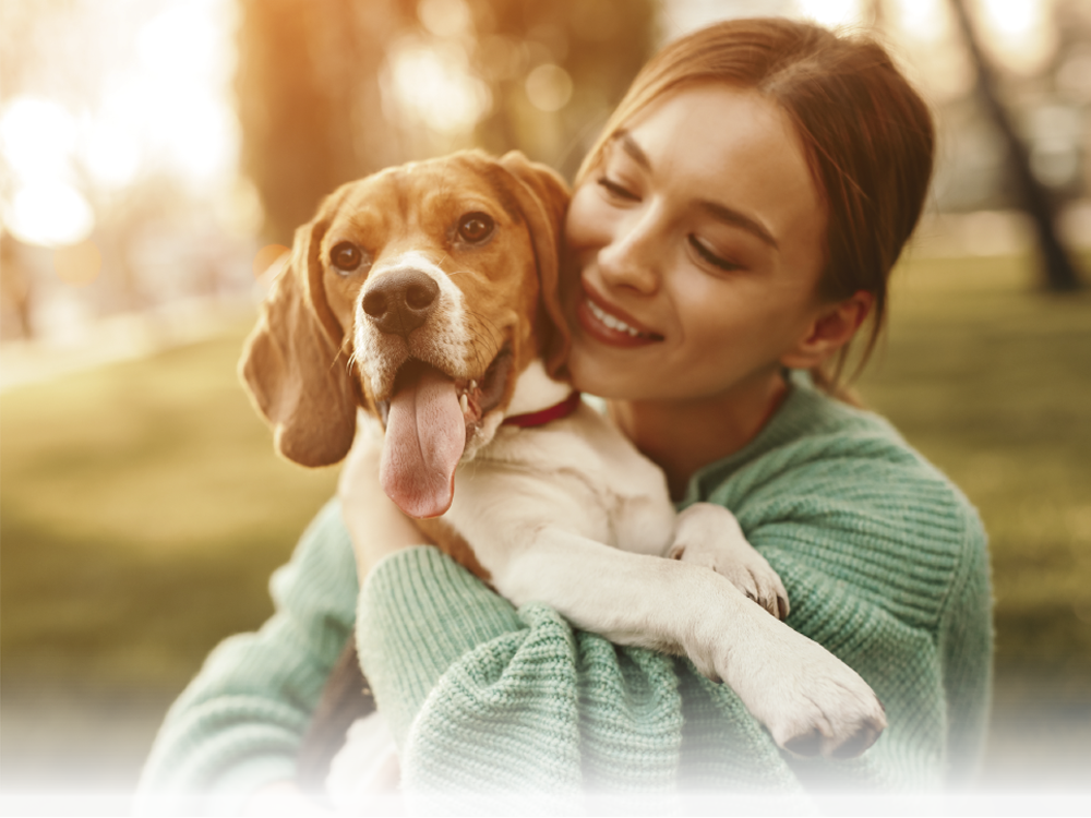 Medicamentos de uso humano y veterinario Farmacia Santa Teresa Sant Cugat